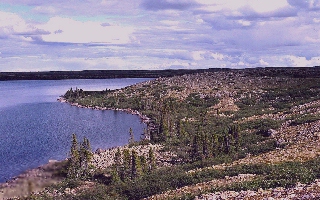 Image from  ACEIS -Agriculture and Argi-Food,  Canada